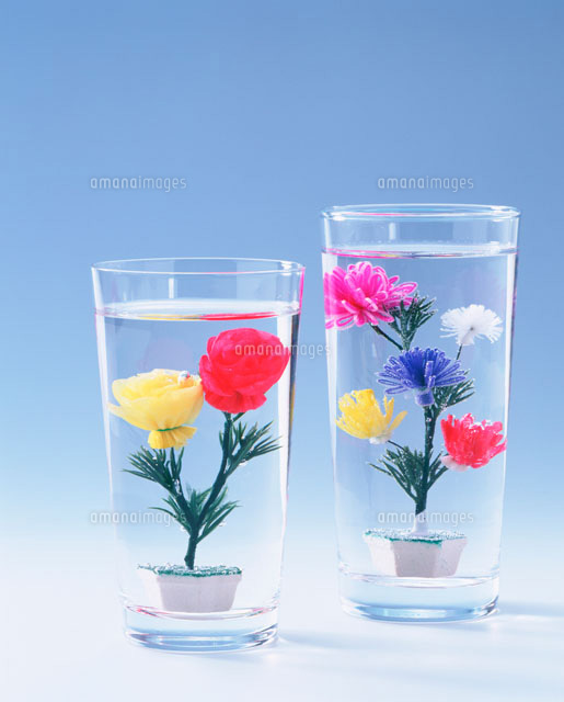水中花
