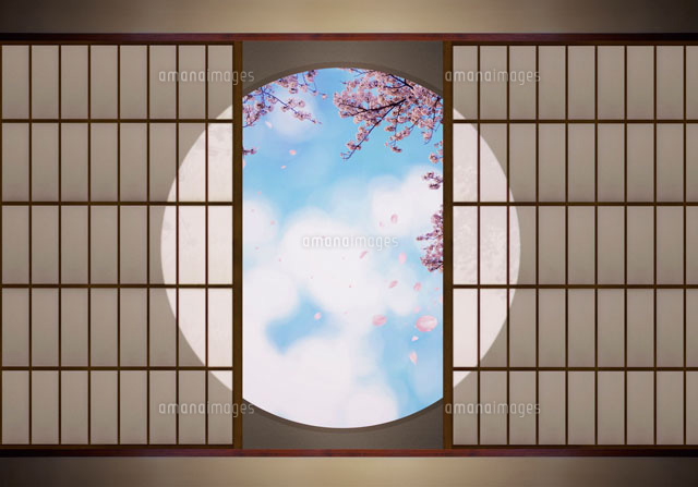 丸窓と桜 の写真素材 イラスト素材 アマナイメージズ