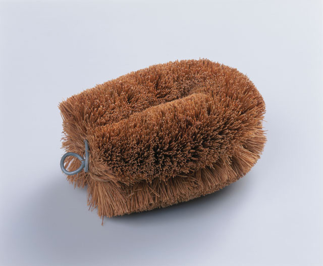 亀の子束子の写真素材 ストックフォト アマナイメージズ