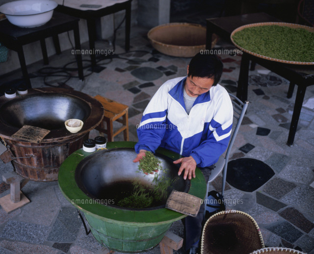 龍井茶の釜炒り 25058011923 の写真素材 イラスト素材 アマナイメージズ