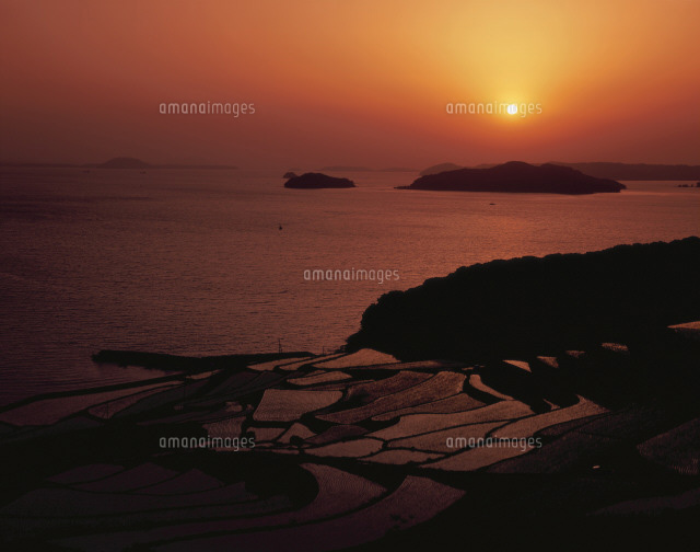 対馬海峡に沈む夕日と土谷棚田[25073002566]の写真・イラスト素材