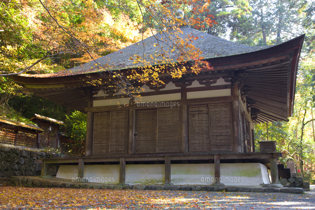 紅葉の観心寺 の写真素材 イラスト素材 アマナイメージズ