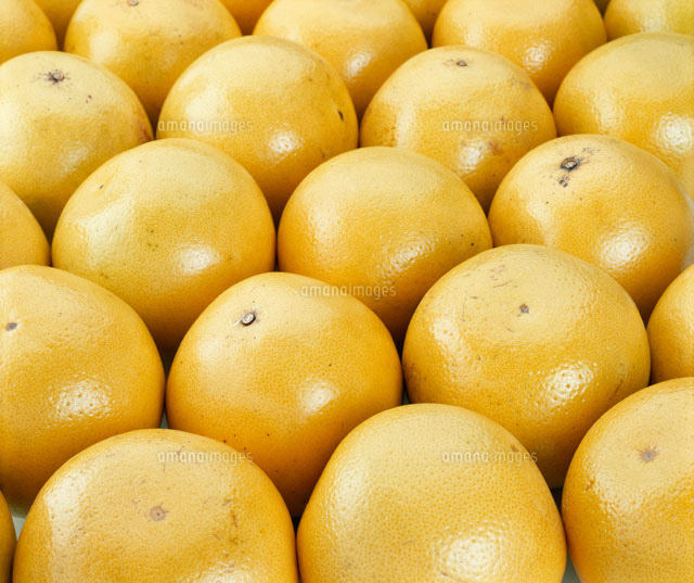 グレープフルーツ カリフォルニア産 の写真素材 イラスト素材 アマナイメージズ