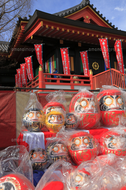 高幡不動尊金剛寺のだるま市 25131020615 の写真素材 イラスト素材 アマナイメージズ