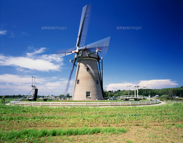 オランダ風車 佐倉ふるさと公園 の写真素材 イラスト素材 アマナイメージズ オランダ風車 佐倉ふるさと公園 の写真素材 イラスト素材 アマナイメージズ