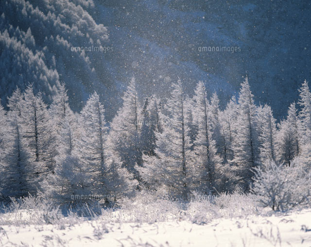 ダイヤモンドダスト 美ヶ原１月 長野県 の写真素材 イラスト素材 アマナイメージズ