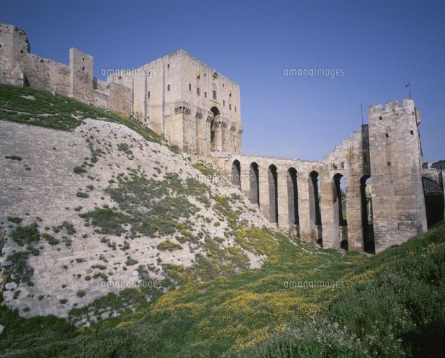 アレッポ城 の写真素材 イラスト素材 アマナイメージズ