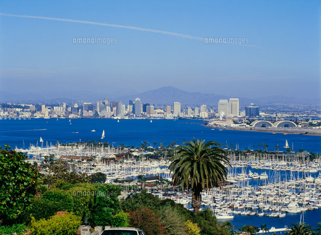 シェルターアイランドより望むダウンタウン の写真素材 イラスト素材 アマナイメージズ
