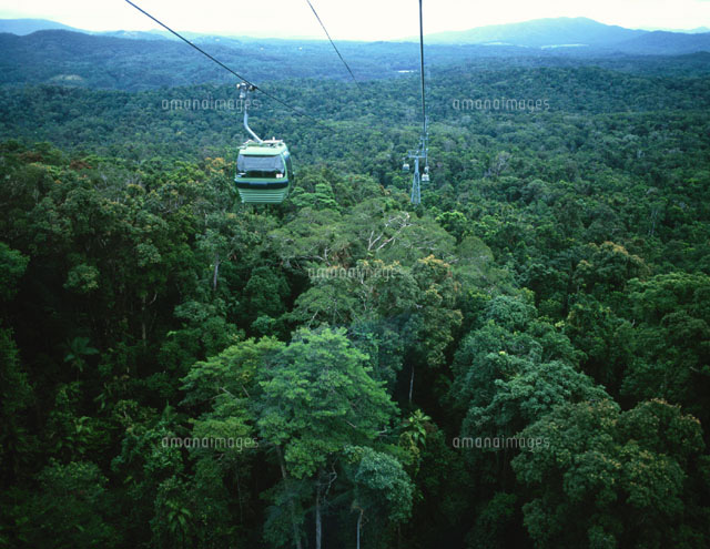 スカイレイルと熱帯雨林 ７月 ケアンズ オーストラリア の写真素材 イラスト素材 アマナイメージズ