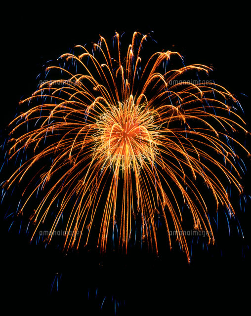 赤川花火大会 割物 昇り曲付錦冠菊散華 の写真素材 イラスト素材 アマナイメージズ 赤川花火大会 割物 昇り曲付錦冠菊散華 の写真素材 イラスト素材 アマナイメージズ