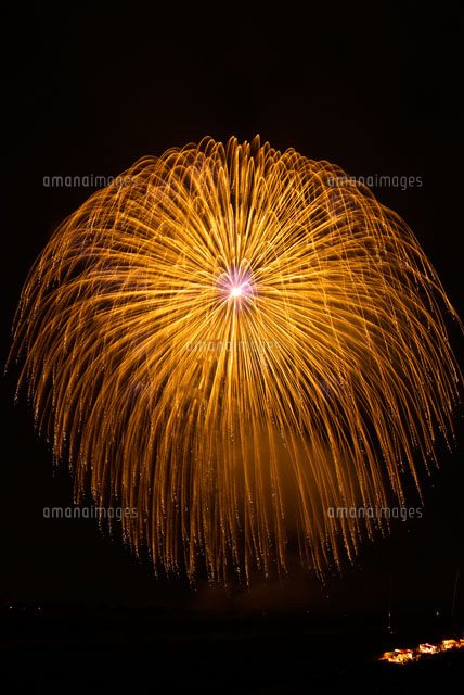 さかいふるさと祭り花火の三尺玉[25502005167]の写真・イラスト素材