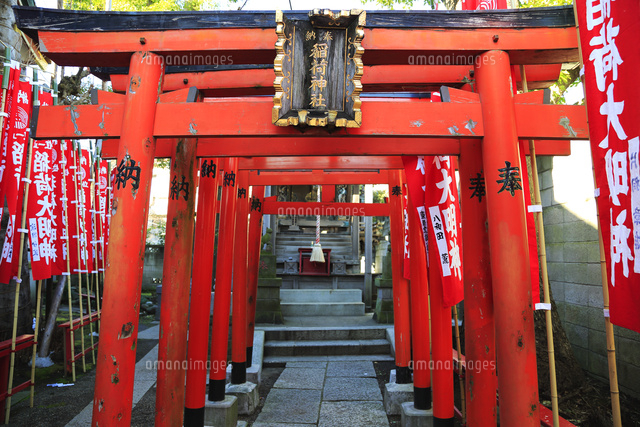 平井諏訪神社摂社の鳥居 の写真素材 イラスト素材 アマナイメージズ