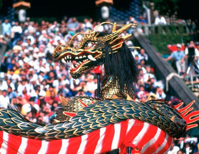 長崎くんち 龍踊[25558003490]の写真・イラスト素材｜アマナイメージズ