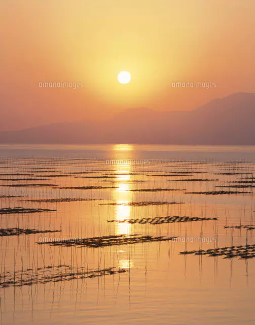 風景画　有明海の夕日　原画 sunset＊4号キャンバス 絵画 原画 風景画 海 空 夕日 ハワイ 沖縄