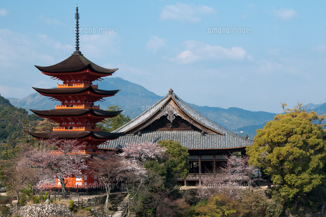 宮島 五重塔と千畳閣[25714001739]の写真・イラスト素材｜アマナイメージズ