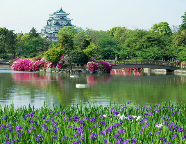 名古屋城と名城公園[25747007944]の写真・イラスト素材｜アマナイメージズ