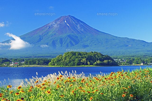 富士山 河口湖町 大石公園 「雲間の富士山」富士山 河口湖町 大石公園