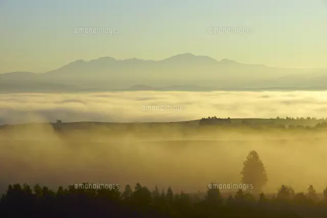 朝霧の美瑛の丘と十勝連峰[25747016786]の写真・イラスト素材｜アマナ
