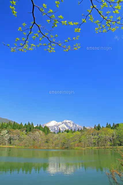 黒姫高原御鹿池と黒姫山[25747017329]の写真・イラスト素材