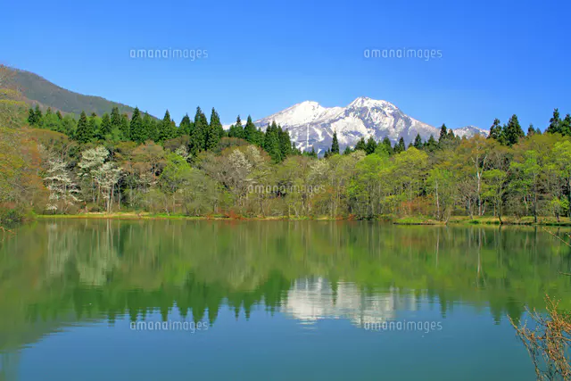 風景画　黒姫山　額縁入り 61e54ad35ddd3-300x300.jpg
