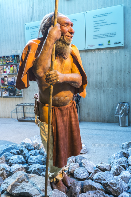 ネアンデルタール人の復元像[25781002965]の写真・イラスト素材