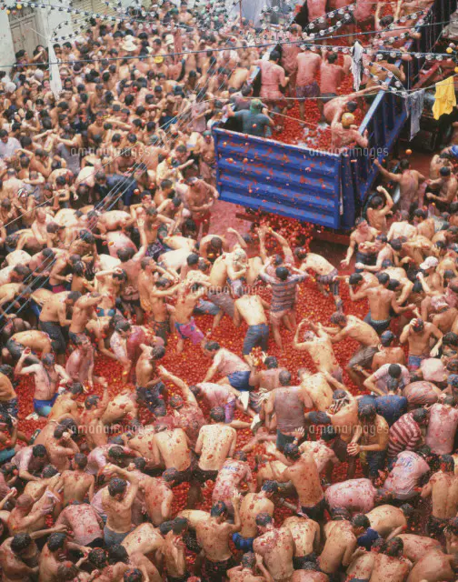 トマト祭[25826008298]の写真・イラスト素材｜アマナイメージズ