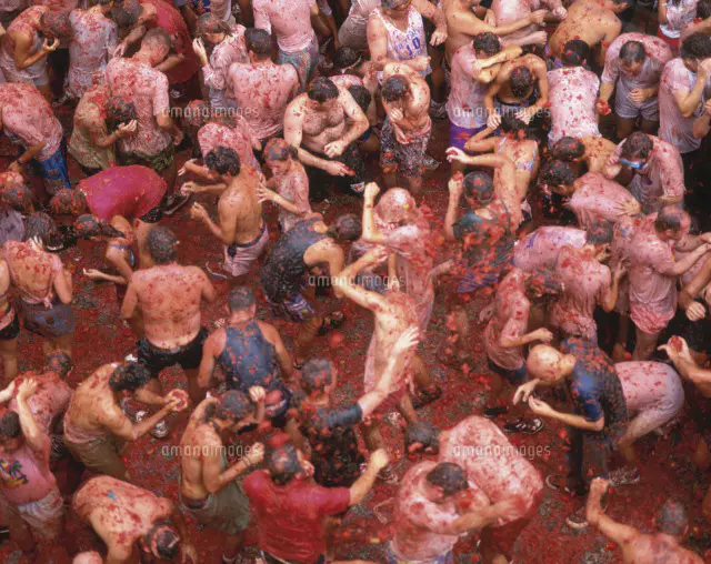 トマト祭[25826008298]の写真・イラスト素材｜アマナイメージズ