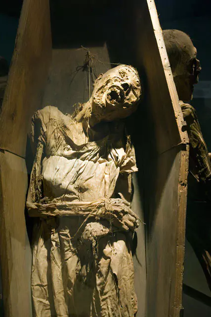 ミイラ博物館のミイラ[25826026268]の写真・イラスト素材｜アマナ