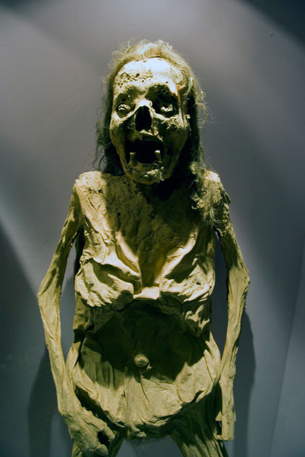 モノクロ ミイラ写真 ミイラ博物館のミイラ[25826026268]の写真・イラスト素材｜アマナ