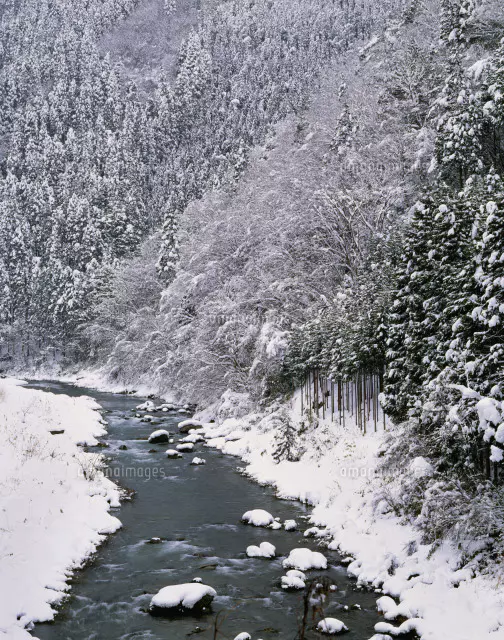 雪山の風景写真 金剛山の雪像。 _ #自然 #nature #風景写真が好きな人と繋がりたい