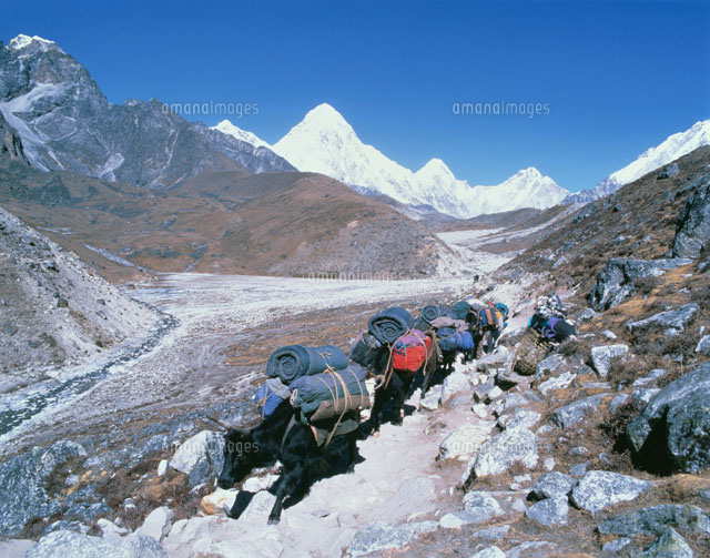 プモリとエベレスト街道 の写真素材 イラスト素材 アマナイメージズ