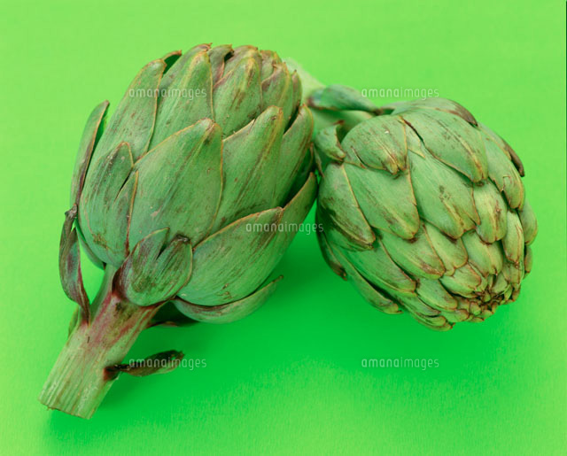 アーティチョーク の写真素材 イラスト素材 アマナイメージズ