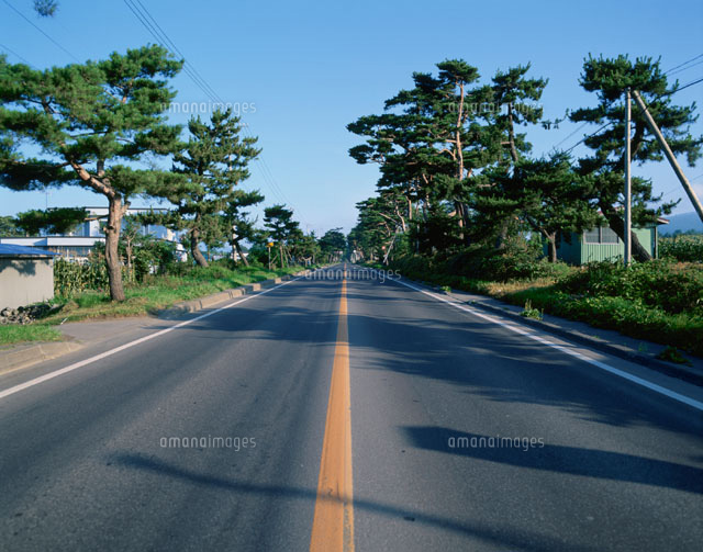 赤松街道国道５号 七飯町北海道 の写真素材 イラスト素材 アマナイメージズ