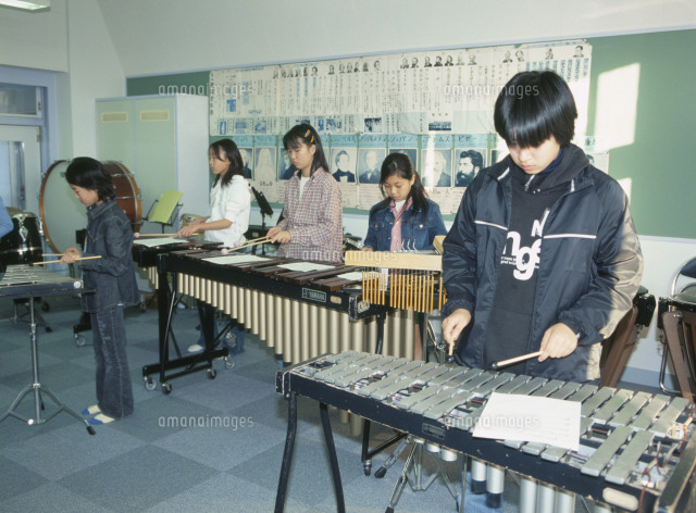 鉄琴　学校 音楽の授業（鉄琴）[26097000430]の写真・イラスト素材｜アマナイメージズ