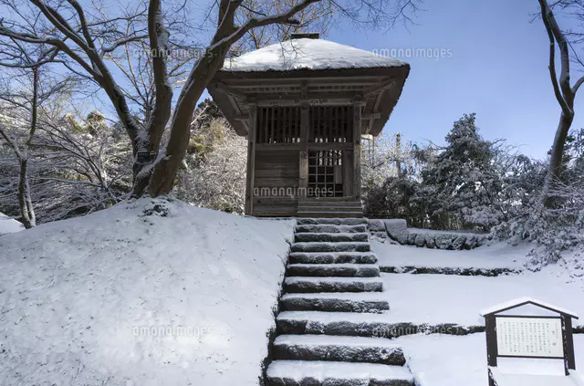 冬の中尊寺 金色堂[26111004365]の写真・イラスト素材｜アマナ