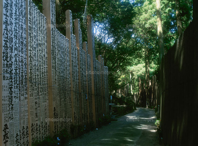 朝熊山 金剛證寺の奥の院参道と卒塔婆群[26118001057]の写真・イラスト