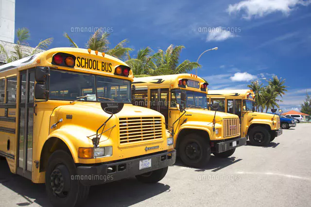 アメリカのスクールバス[26138000002]の写真・イラスト素材｜アマナ