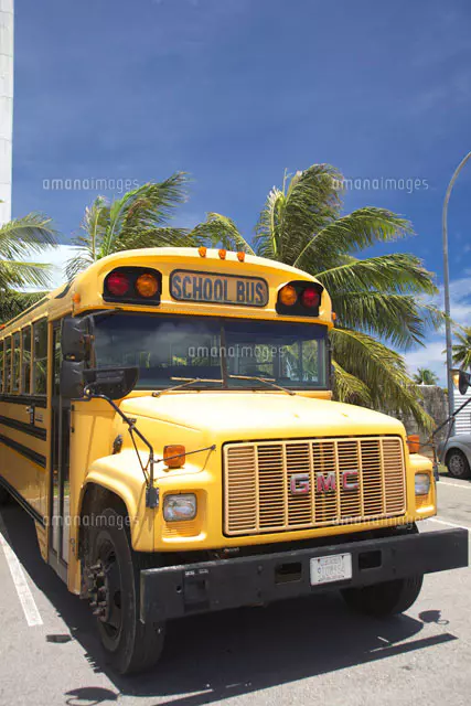 アメリカのスクールバス[26138000001]の写真・イラスト素材｜アマナ