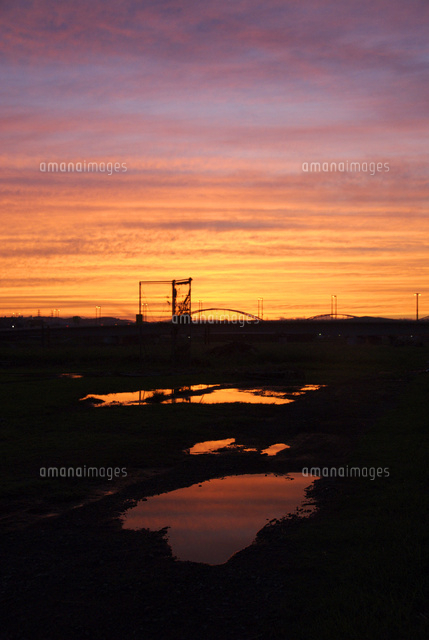 多摩川河川敷の水たまりに映える夕焼け の写真素材 イラスト素材 アマナイメージズ