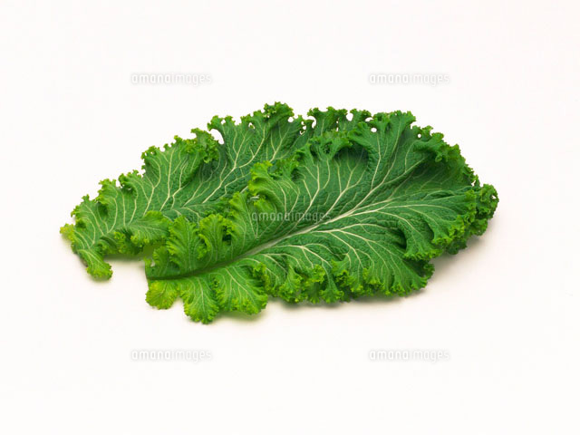 グリーンマスタード の写真素材 イラスト素材 アマナイメージズ