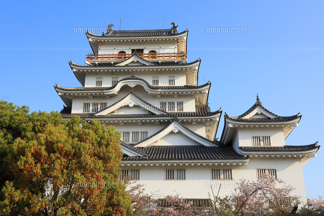春の福山城天守閣 の写真素材 イラスト素材 アマナイメージズ