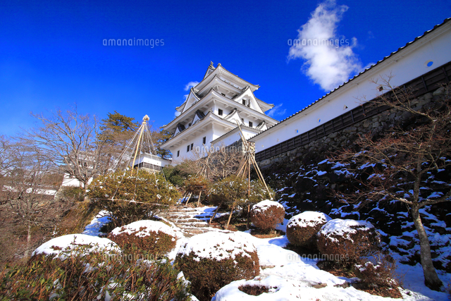 冬の郡上八幡城 の写真素材 イラスト素材 アマナイメージズ