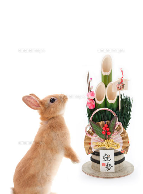 白バックの立ち上がるウサギと門松 の写真素材 イラスト素材 アマナイメージズ