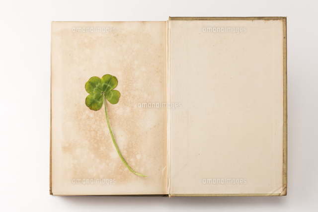 四つ葉のクローバーの押し花と古い本[28056003299]の写真・イラスト