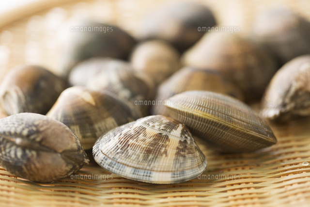 籠に入ったあさり の写真素材 イラスト素材 アマナイメージズ