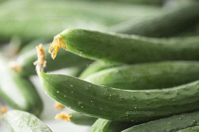 花の付いたキュウリ の写真素材 イラスト素材 アマナイメージズ
