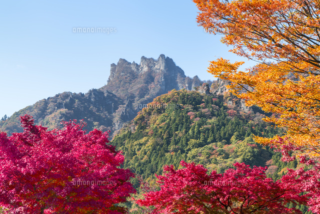 晩秋の妙義山　F20 W 72センチ×H 61センチ 秋の妙義山[28056006391]の写真・イラスト素材｜アマナイメージズ