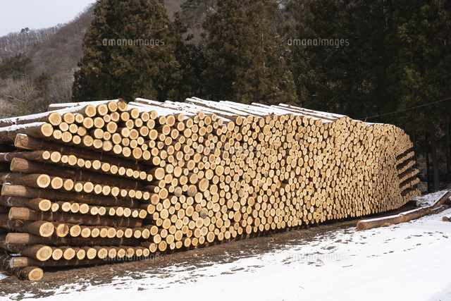 積み上げられた材木の断面と雪 の写真素材 イラスト素材 アマナイメージズ