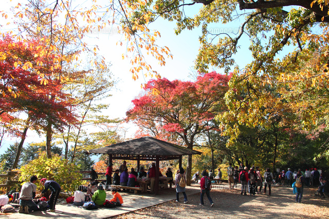 秋の高尾山山頂 の写真素材 イラスト素材 アマナイメージズ