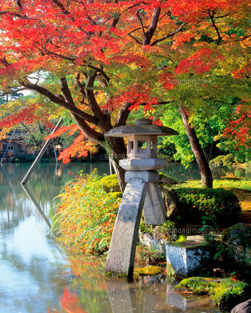 秋の兼六園[28144025341]の写真・イラスト素材｜アマナイメージズ